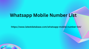 Whatsapp Number List