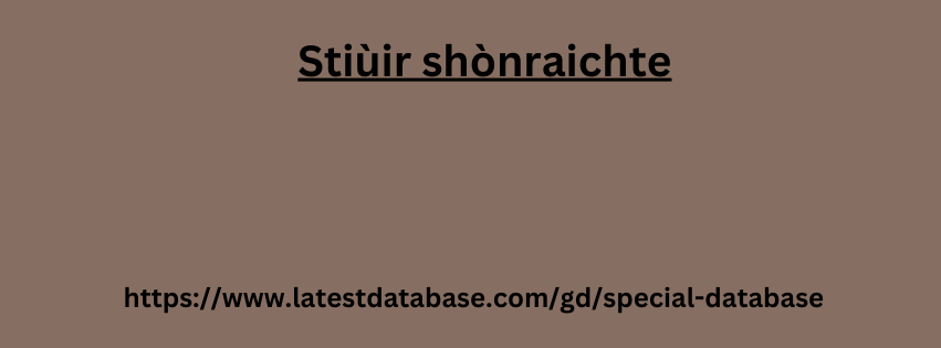 Stiùir shònraichte