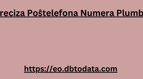 Preciza Poŝtelefona Numera Plumbo